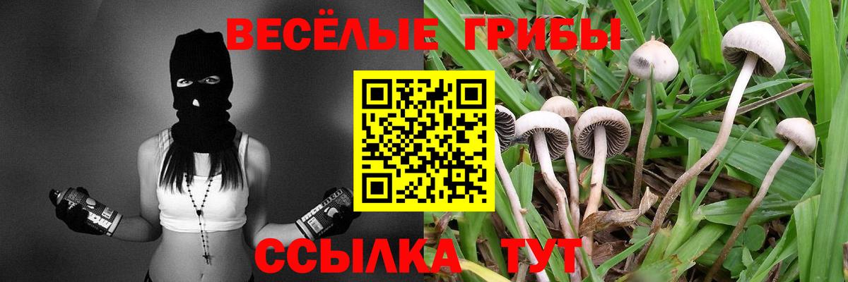 Галлюциногенные грибы Cubensis Семёнов