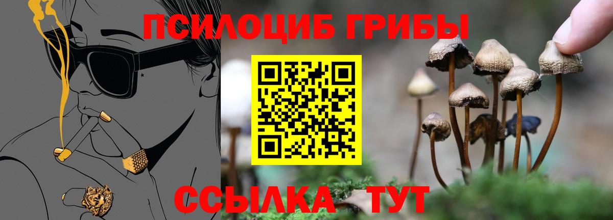 закладки  Галлюциногенные грибы GOLDEN TEACHER  Галлюциногенные грибы ЛСД  Вход с VPN  Семёнов 