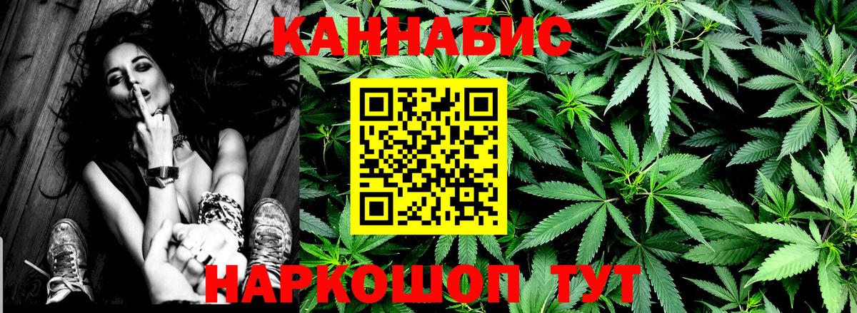 Конопля Bruce Banner  Каннабис ГИДРОПОН  Бошки Шишки конопля  Шишки марихуана план  Семёнов  Вход с VPN 